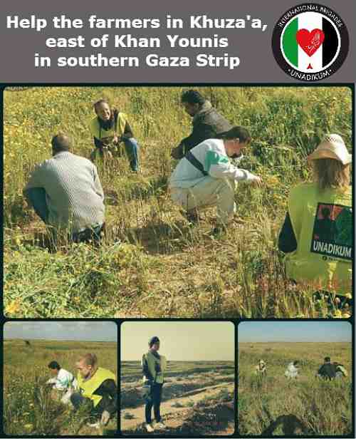 A toi Gaza